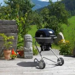 Barbecue Charbon Air F60 - Rosle* -Esprit Barbecue barbecue charbon rosle f60 4004293250063 6