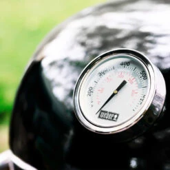 Barbecue Kamado Summit S6 - Weber 20 Barbecue Kamado Summit S6 - Weber -Esprit Barbecue barbecue summit kamado s6 0077924159169 8