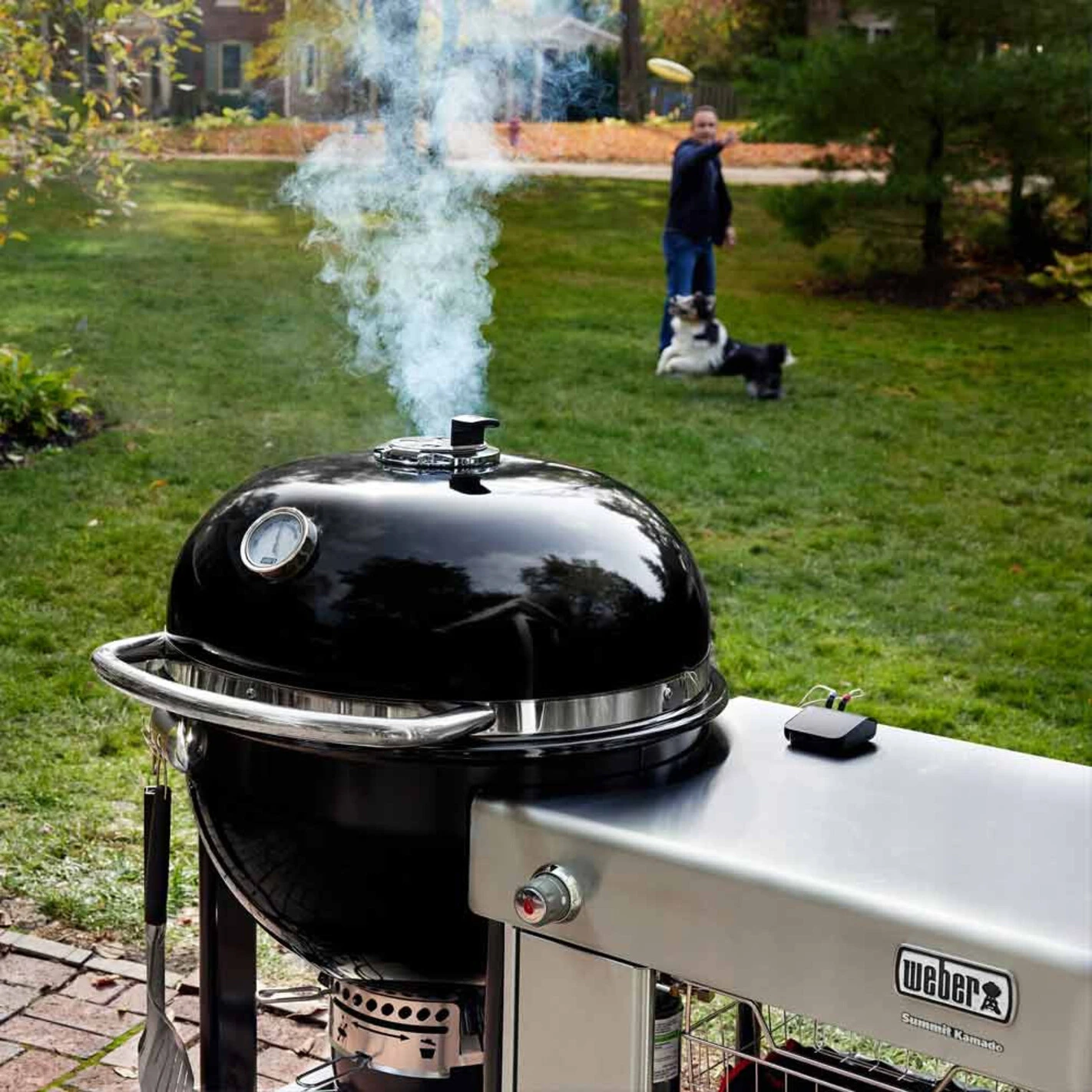Barbecue Kamado Summit S6 - Weber 12 Barbecue Kamado Summit S6 - Weber – Image 10