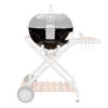 Cuve Barbecue Ascona 570 (avant 2014) - Outdoorchef 1 Cuve Barbecue Ascona 570 (avant 2014) - Outdoorchef -Esprit Barbecue cuve ascona 570 avant 2014 2020000023395